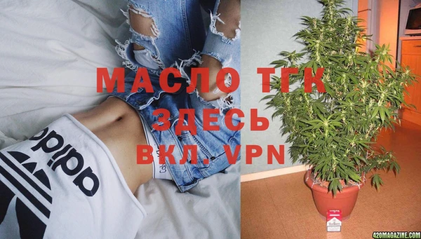 сатива Абинск