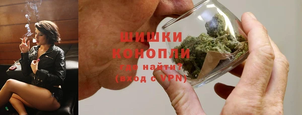 сатива Абинск
