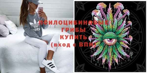 сатива Абинск
