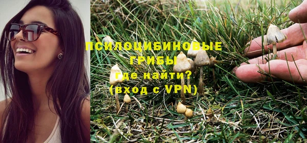 каннабис Абаза