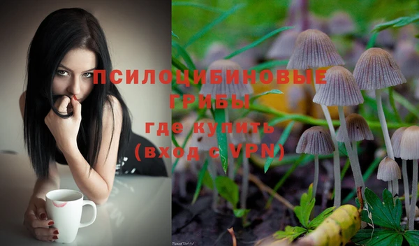 каннабис Абаза