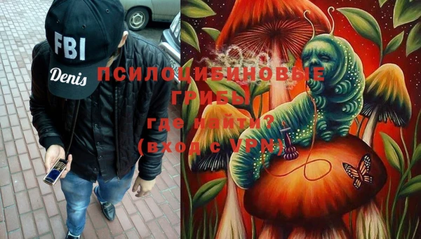 PSILOCYBIN Абдулино
