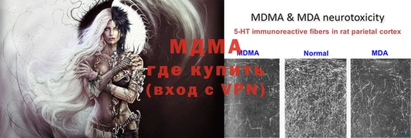 сатива Абинск